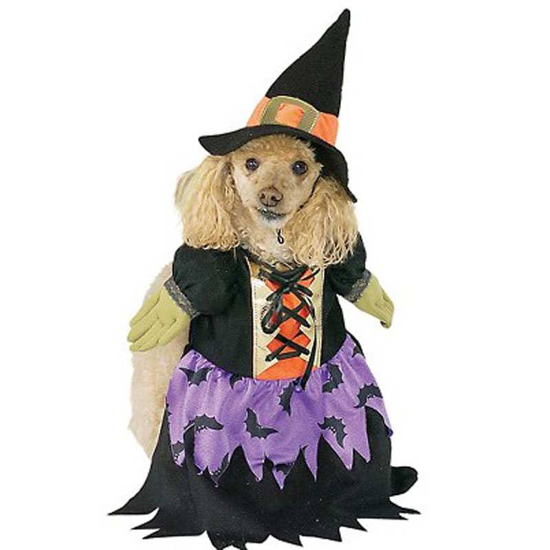 LDC001-Bewitched Dog Costume