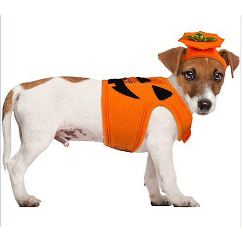 LDC007-Jack-O-Lantern Pumpkin Dog Costume