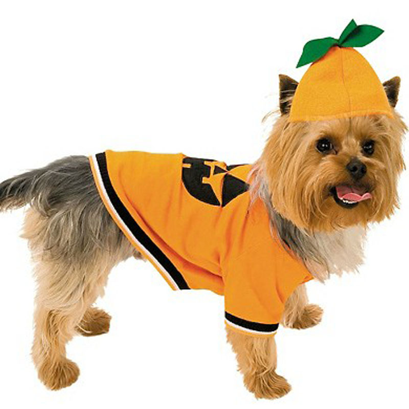 LDC011-Pumpkin Dog Costume
