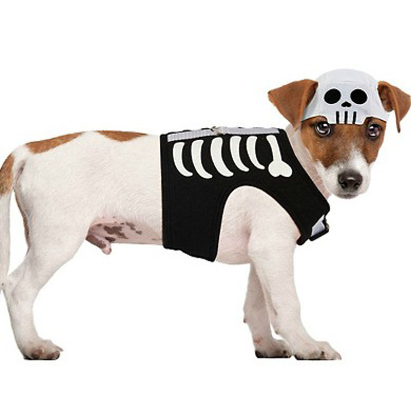 LDC015-Skeleton Dog Costume