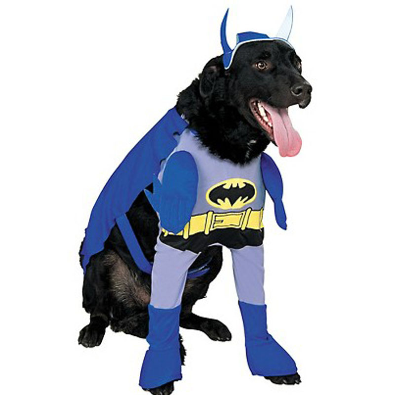 LDC017-The Brave and the Bold Batman Dog Costume