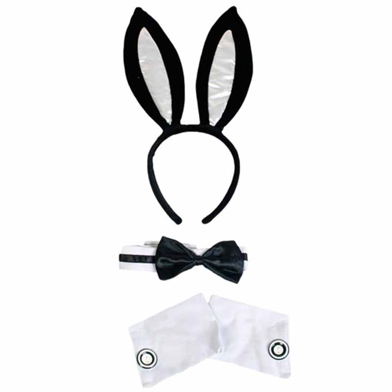 LHTS008 sexy-bunny-costume-kit
